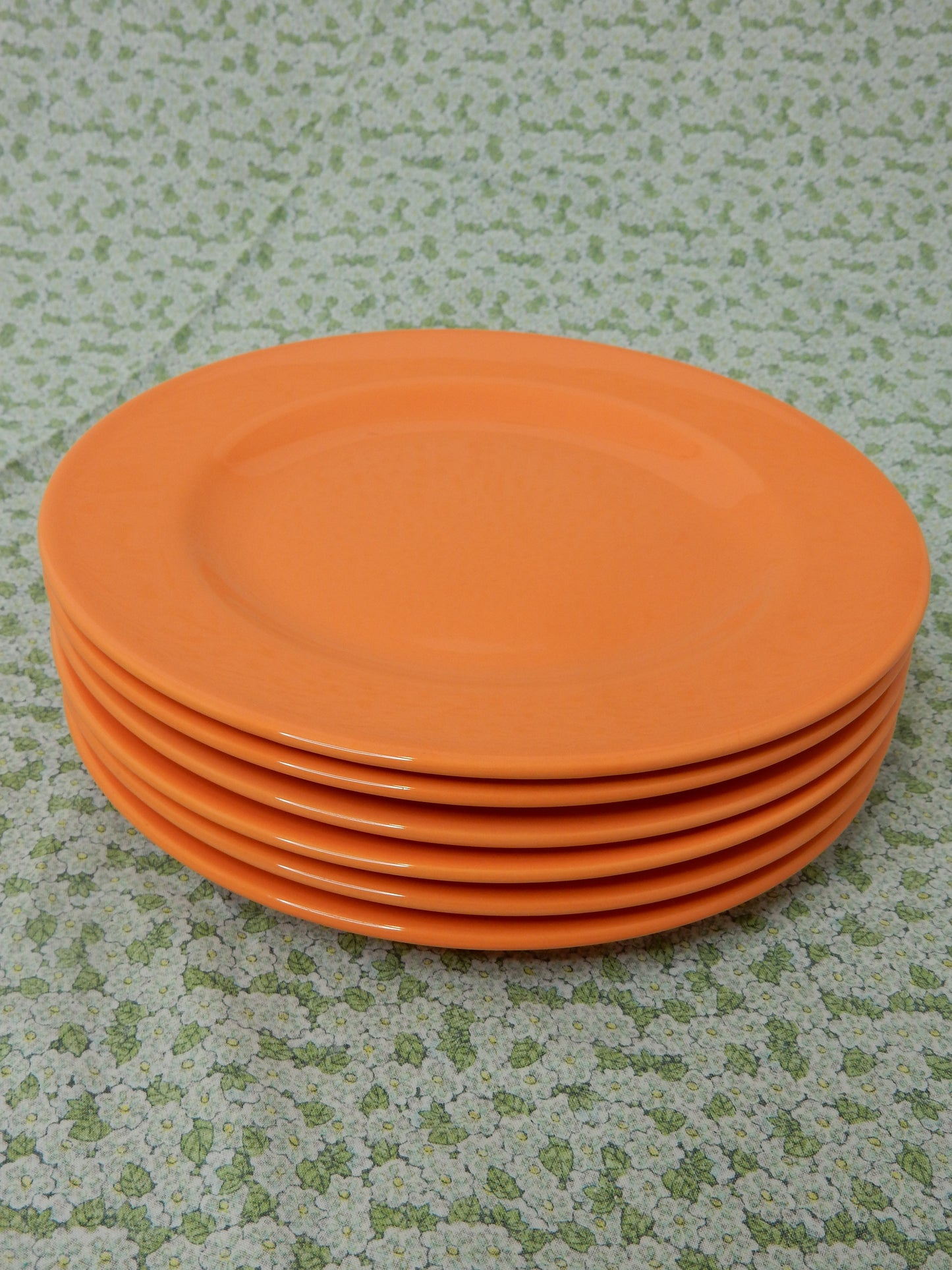 Flacher Teller von Vista Alegre Portugal