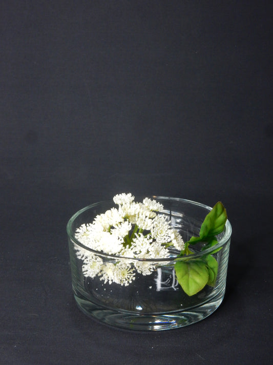 Glasschale (16 x 7,5 cm)