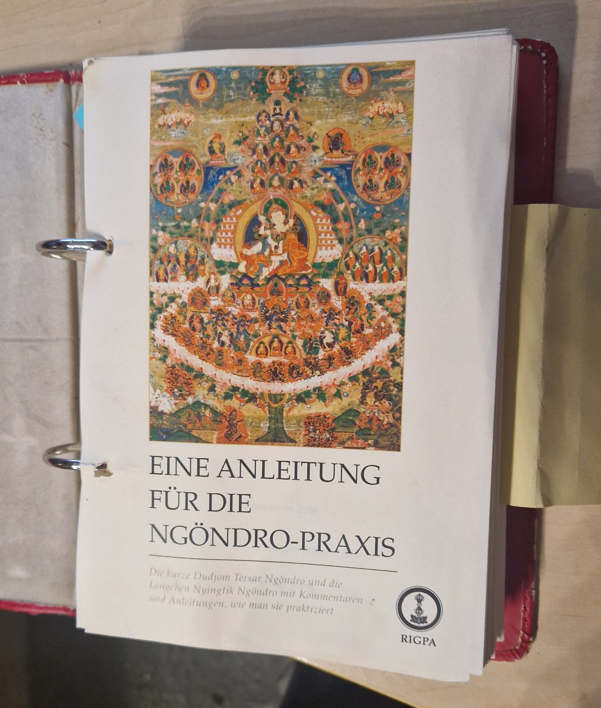 Eine Anleitung für die Ngöndro-Praxis - Rigpa Organisation - 2006 - Artikelbild von Fummel & Gedöns Secondhand-Store