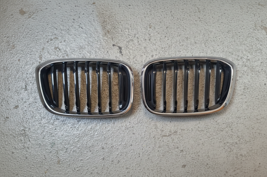 ORIGINAL BMW X3 G01 / X4 G02 xLine Kühlergrill Niere Silber/Schwarz NEU