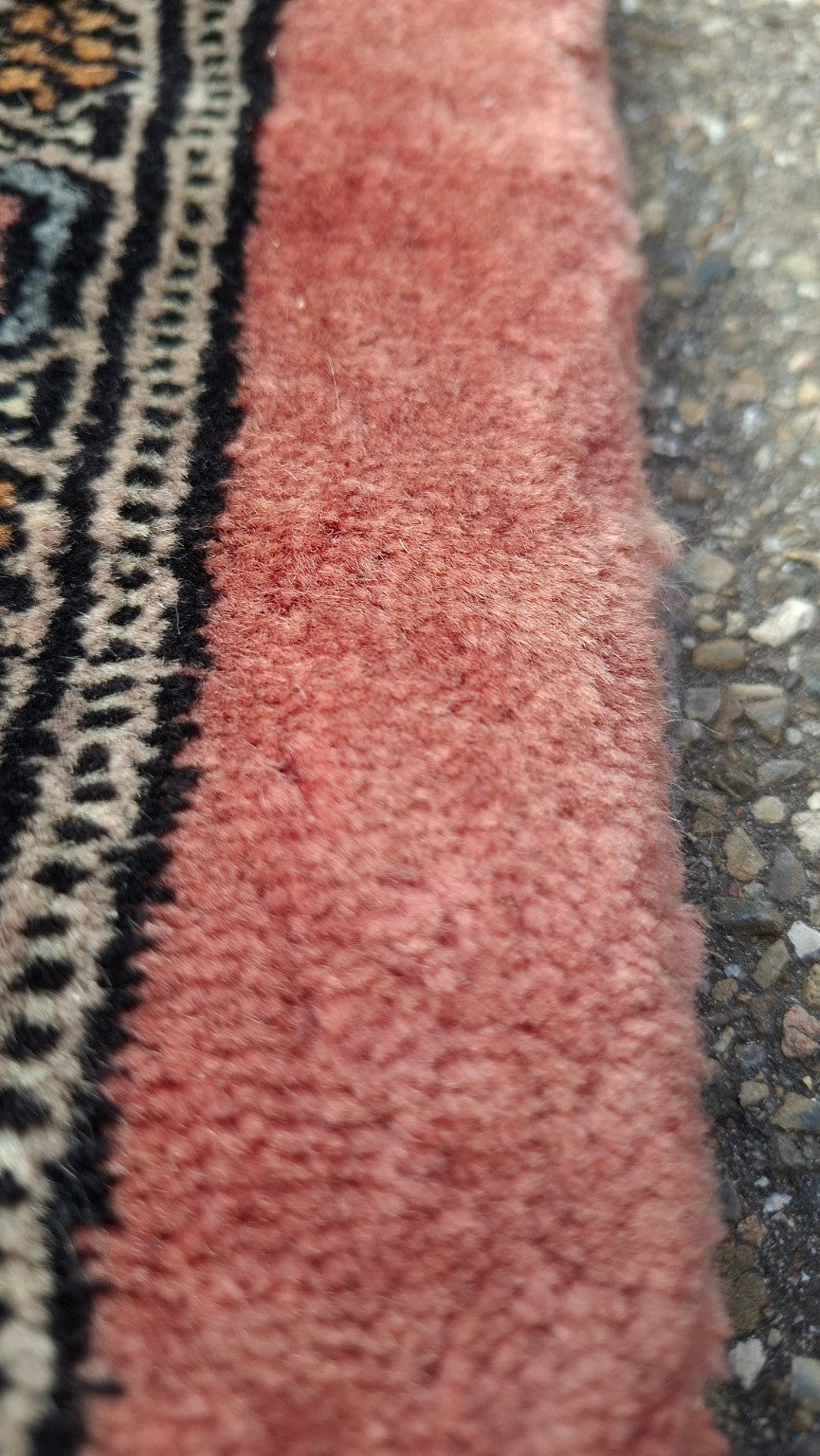 Handgeknüpfter Pakistan-Buchara Teppich – Flor und rote Bordüre