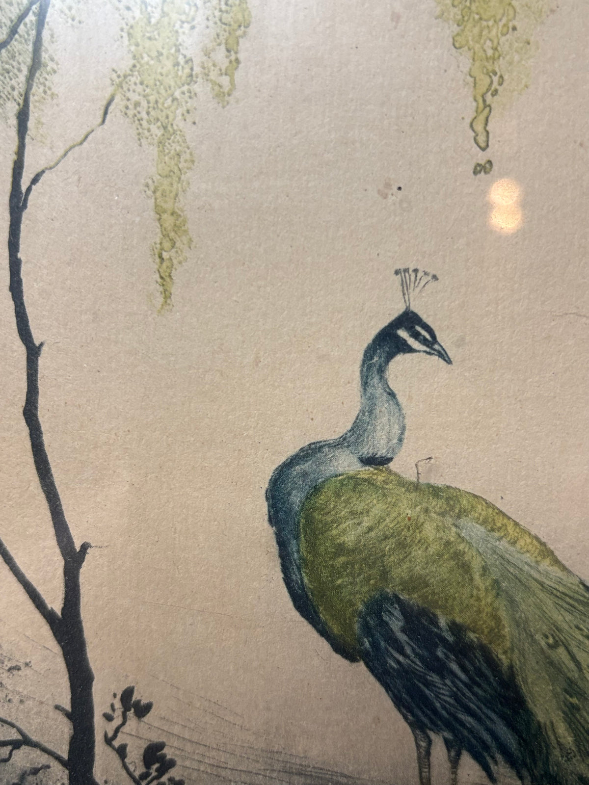 Jean Hardy – Lady with Peacock – Art-Déco-Grafik um 1925, gerahmt