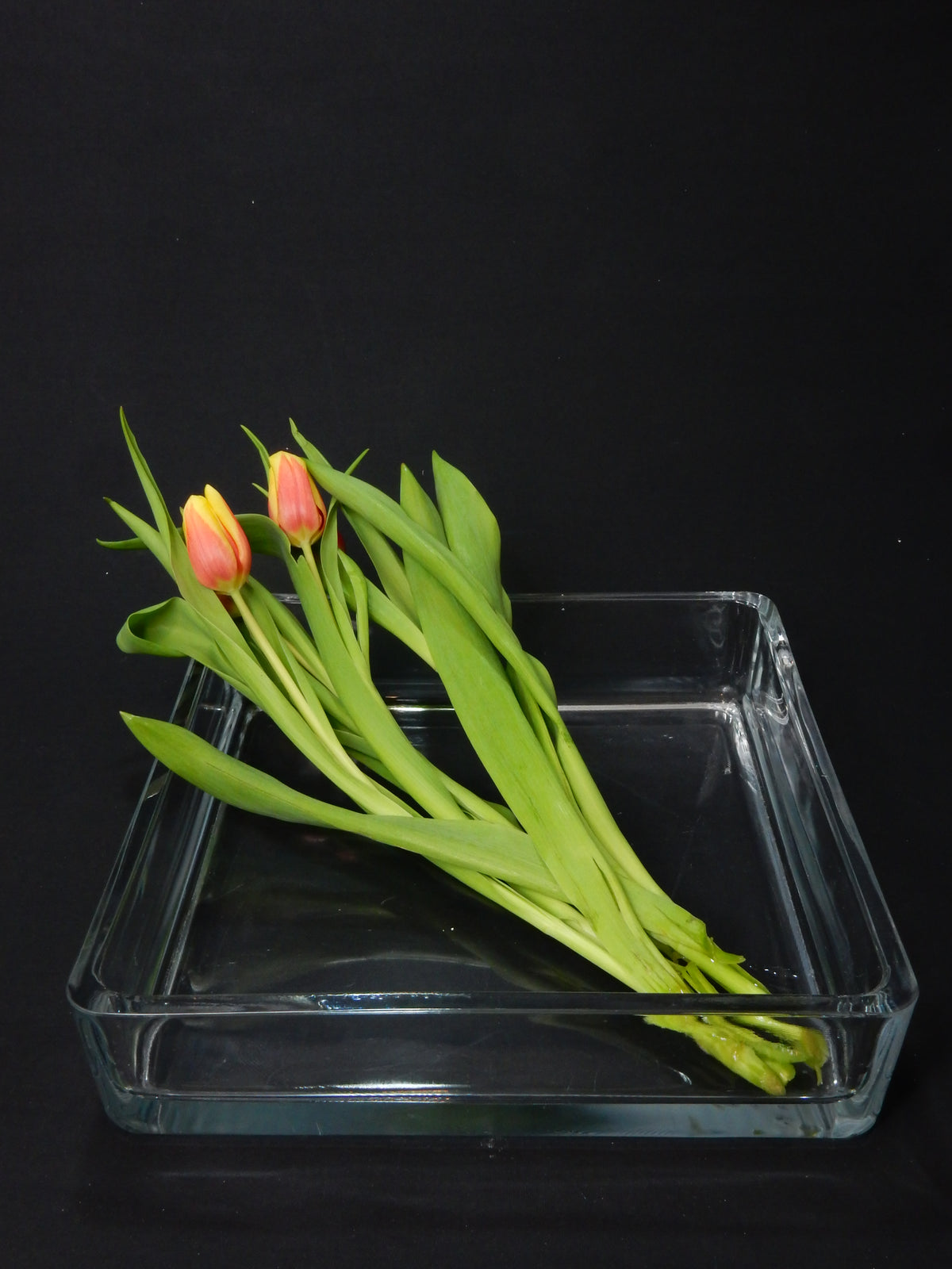 Glasvase eckig groß (28 x 7,5 cm) – Fummel & Gedöns Secondhand-Store