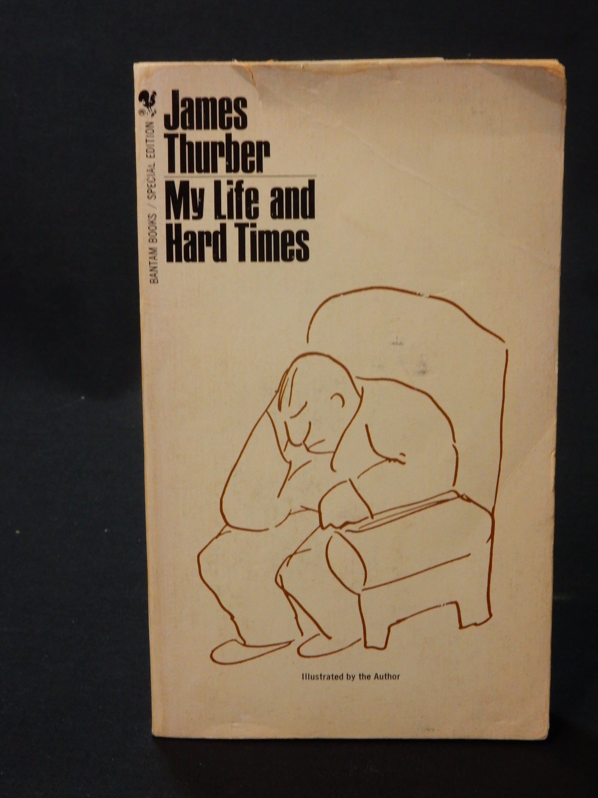 Buch: James Thurber - My Life and hard Times - Artikelbild von Fummel & Gedöns Secondhand-Store