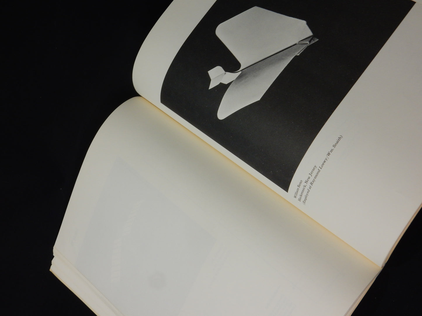 Buch: The Great International Paper Airplane Book