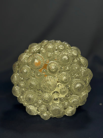 Einbaubeleuchtung aus Glas mit Fossilienmuster, Deutsch, 1970er Jahre, RZB Leuchten