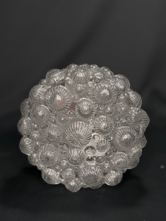 Einbaubeleuchtung aus Glas mit Fossilienmuster, Deutsch, 1970er Jahre, RZB Leuchten