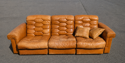 De Sede DS-P Sofa - Leder, Eiche - Robert Haussmann