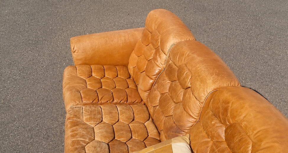 De Sede DS-P Sofa - Leder, Eiche - Robert Haussmann
